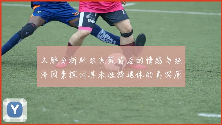 文胖分析科尔决策背后的情感与经济因素探讨其未选择退休的真实原因